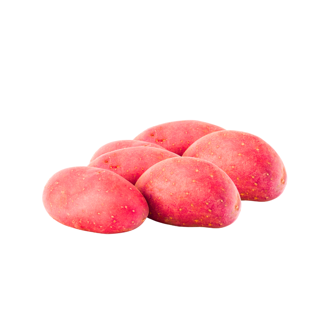 Red Patato, 0.59lb, avg weight: 1.70lb